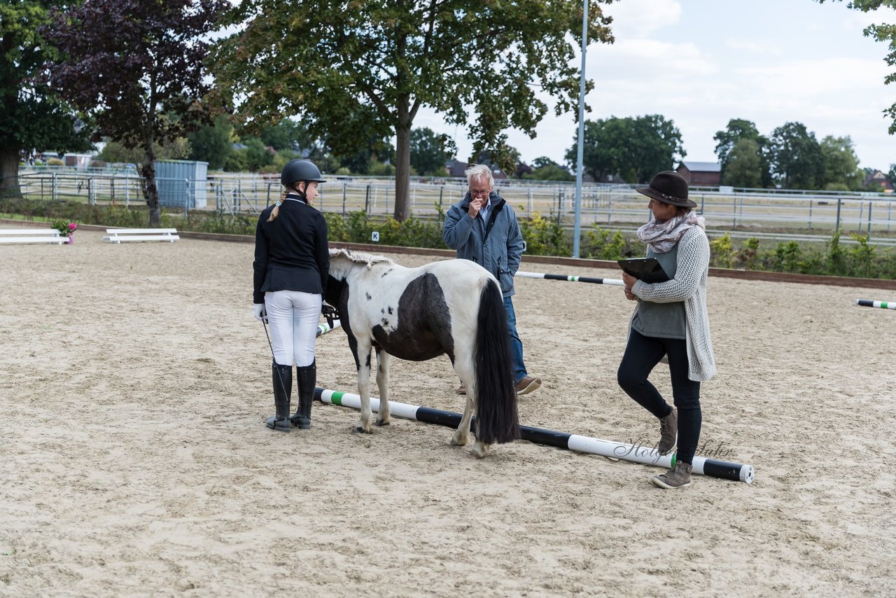 Bild 1 - Pony Akademie Turnier